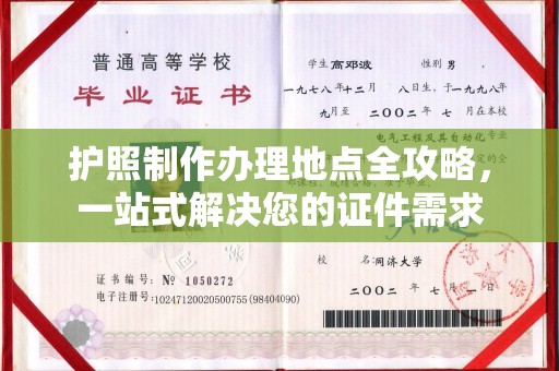 任县护照制作办理地点全攻略，一站式解决您的证件需求