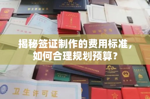 任县揭秘签证制作的费用标准，如何合理规划预算？
