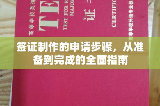 任县签证制作的申请步骤，从准备到完成的全面指南
