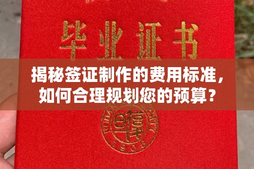 任县揭秘签证制作的费用标准，如何合理规划您的预算？