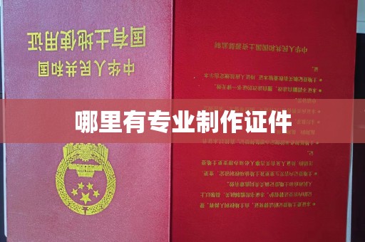 任县哪里有专业制作证件