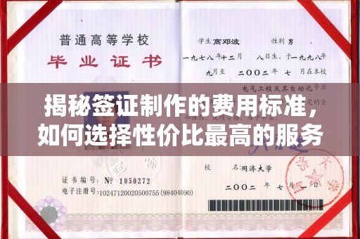 任县揭秘签证制作的费用标准，如何选择性价比最高的服务？