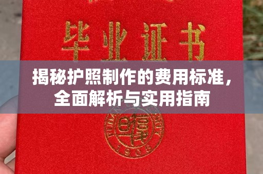 任县揭秘护照制作的费用标准，全面解析与实用指南
