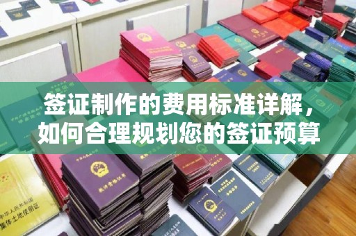 任县签证制作的费用标准详解，如何合理规划您的签证预算