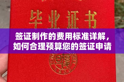 任县签证制作的费用标准详解，如何合理预算您的签证申请成本