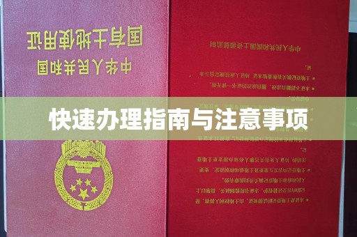 任县快速办理指南与注意事项